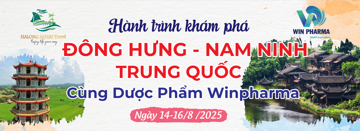 Banner Hành trình du lịch khám phá cho công ty