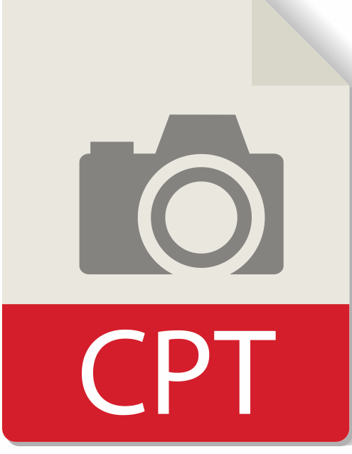15980 icon software designer vector20.png