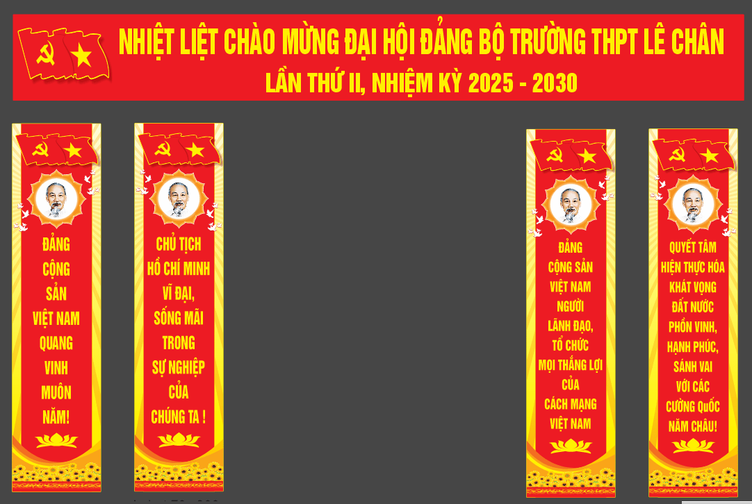 16114 dai hoi dang bo truong thpt le chan-min.png
