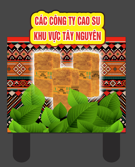 Các công ty Cao Su khu vực Tây Nguyên 95 năm