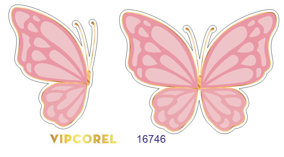 Vector vẽ cánh bướm hồng - con bướm file corel