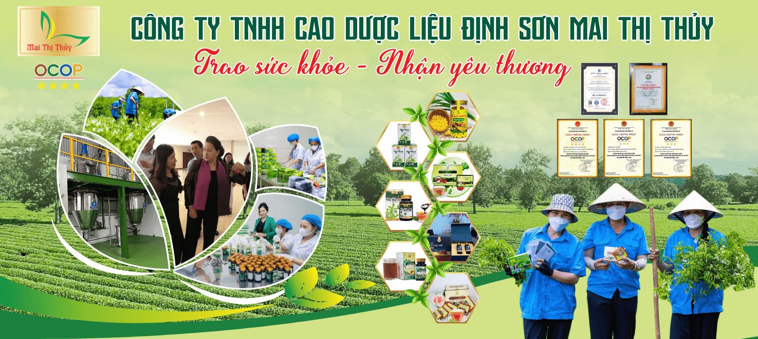 Pano QC sản phẩm OCOP công ty dược liệu