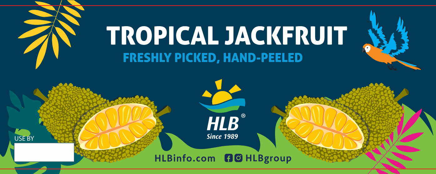 Vector Tropical jackfruit sầu riêng file corel