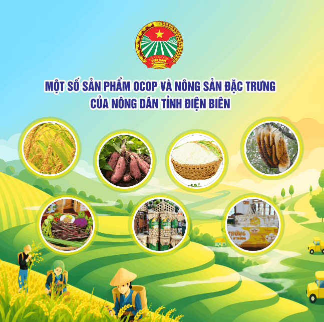 19250 san pham ocop trung bay 5.png