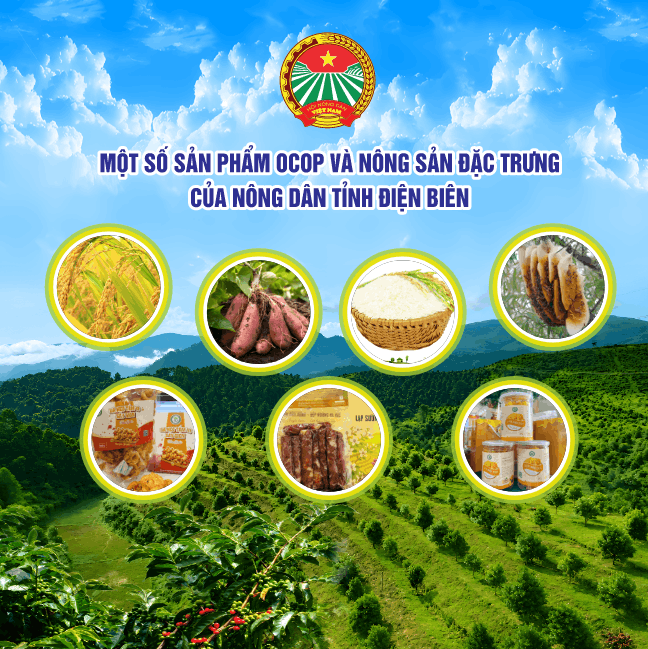 19250 san pham ocop trung bay 6.png
