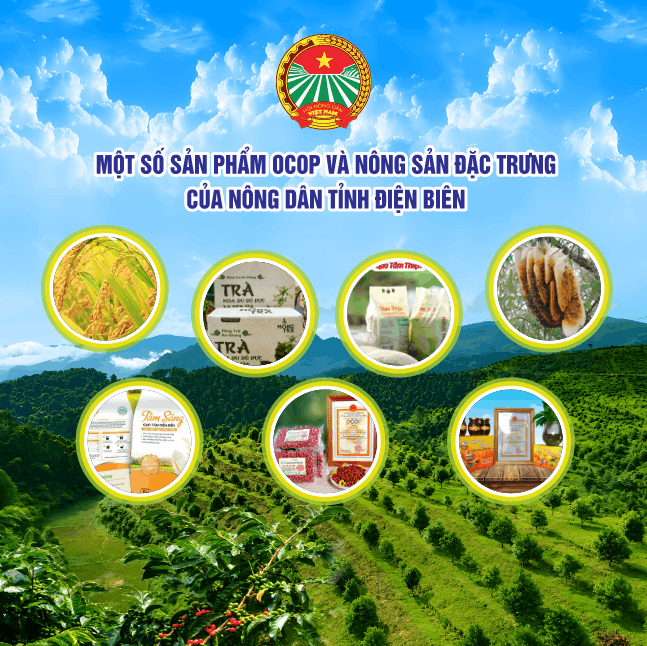 19250 san pham ocop trung bay 8.png