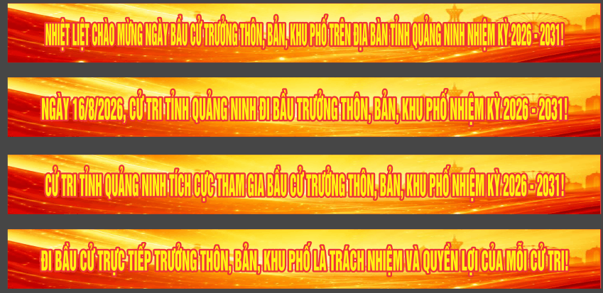19290 bau cu truong khu pho 3.png