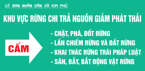 19625 khu vuc rung chi tra ngon giam phat thai.png