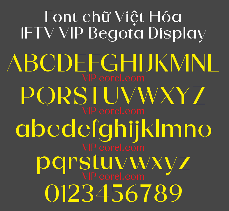 1FTV VIP Begota Display.png