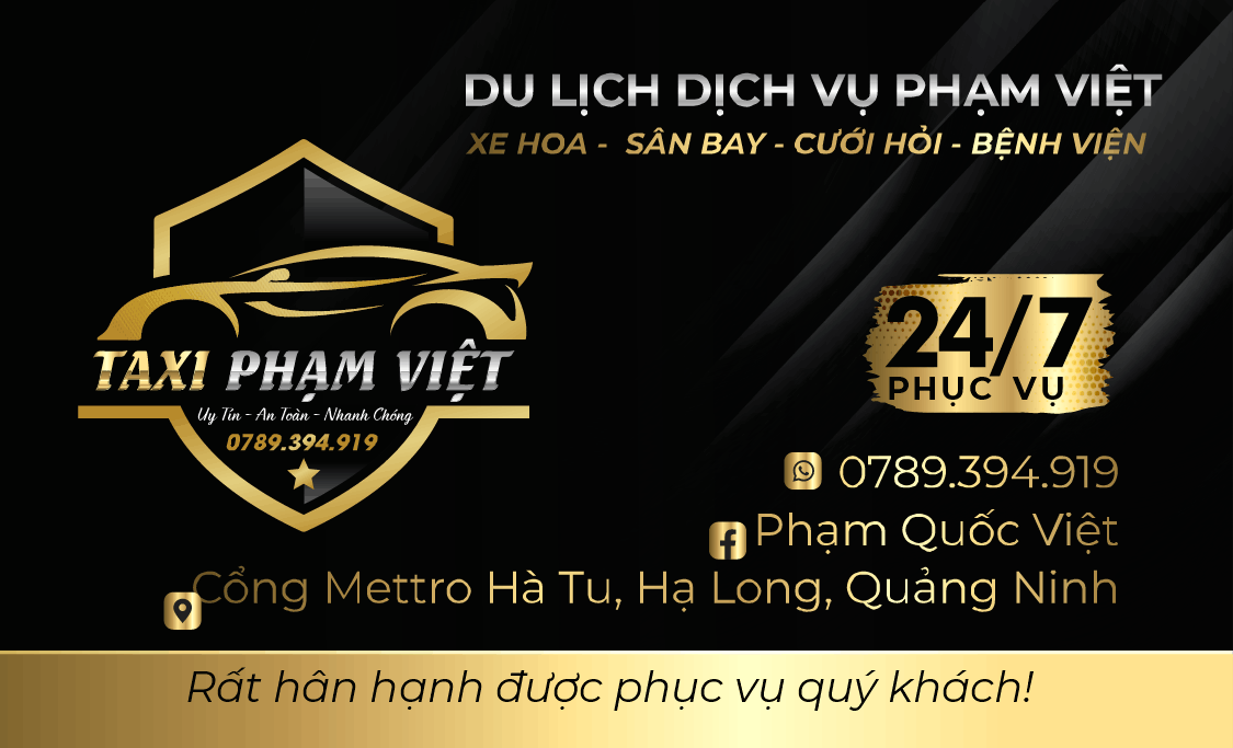 291 demo name card taxi du lich dich vu pham viet3.png
