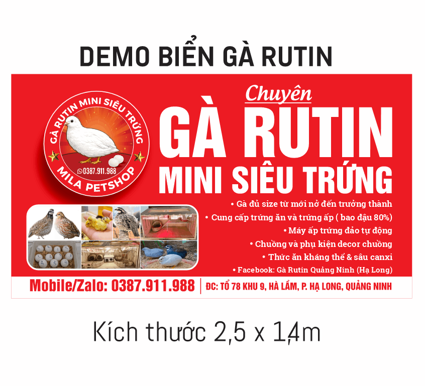 292 bien qc ga rutin mini sieu trung.png