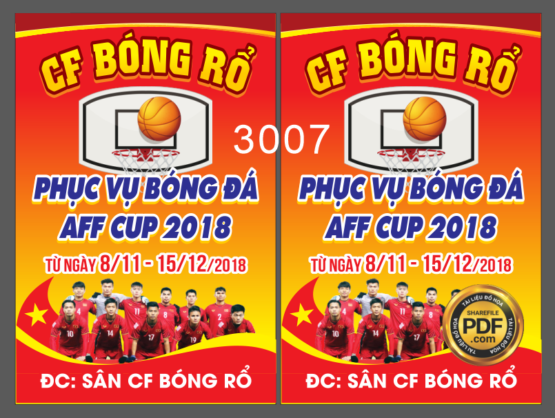 cf bong ro phuc vu bong da aff cup 2018.png