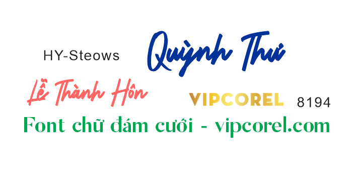 font chu dam cuoi HY-Steows.png