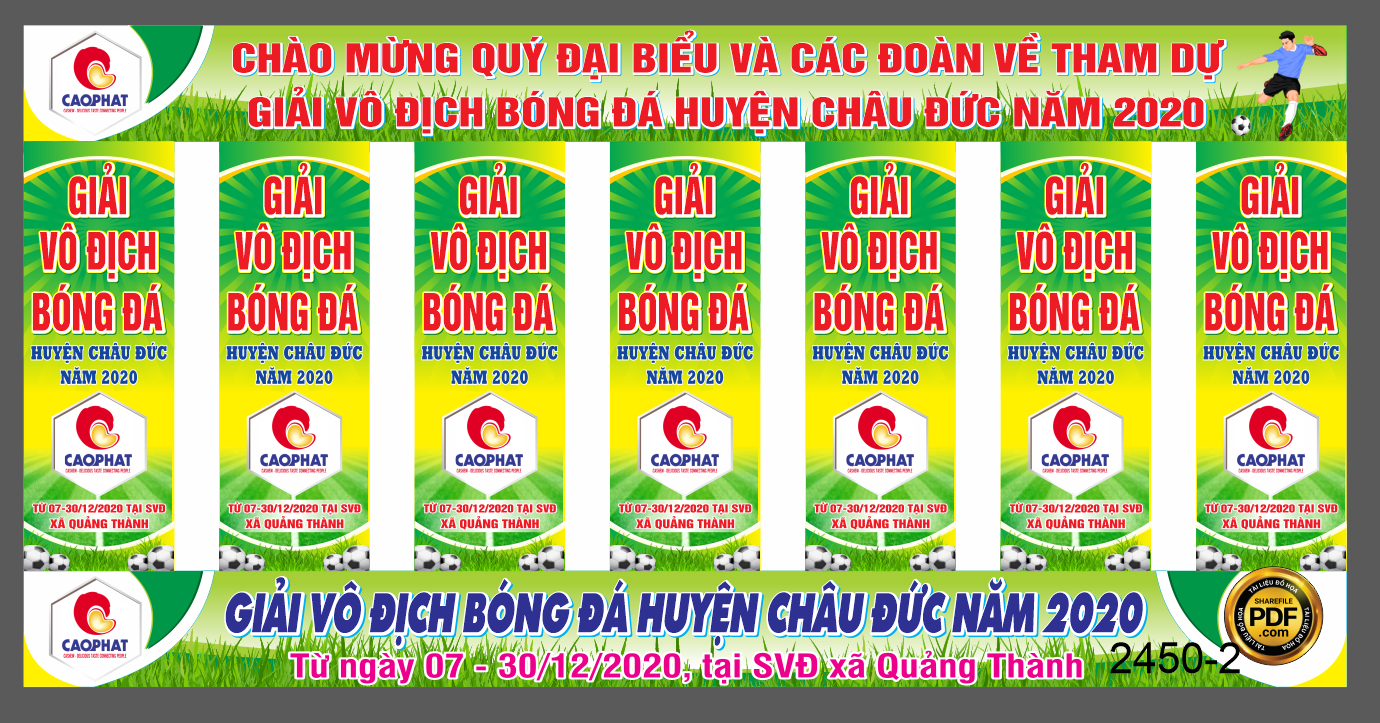 giai vo dich bong da huyen chau duc 2.png