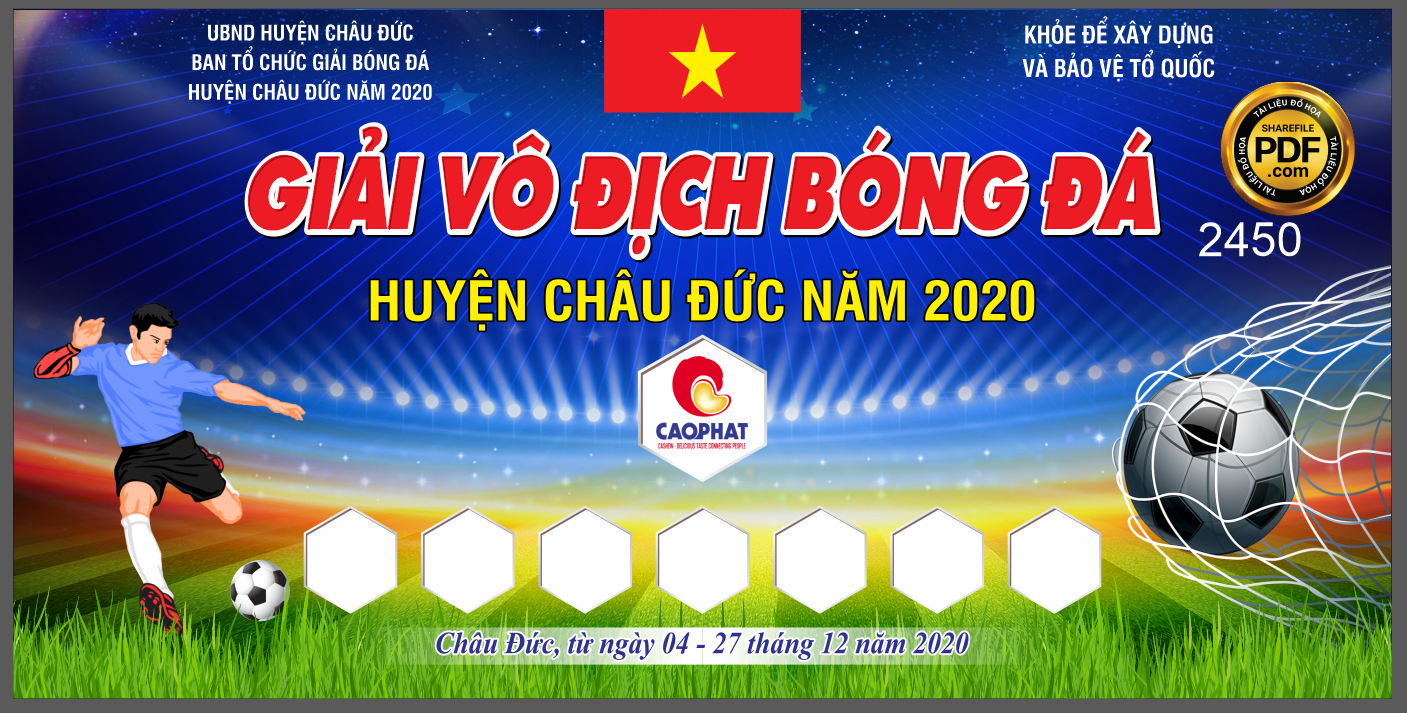 giai vo dich bong da huyen chau duc.png