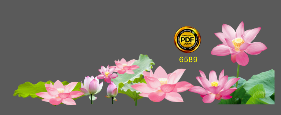 hoa tiet hoa sen trang tri pano #2.png