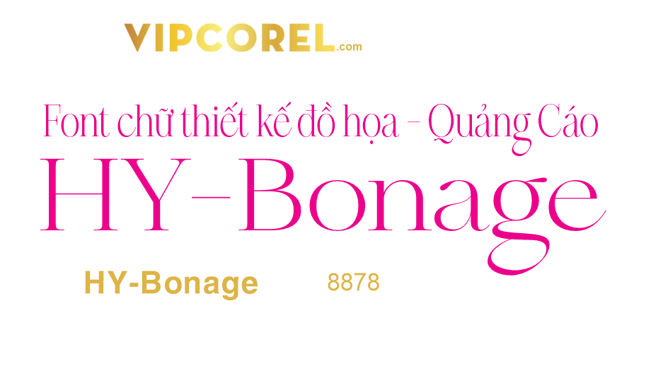 HY-Bonage.png