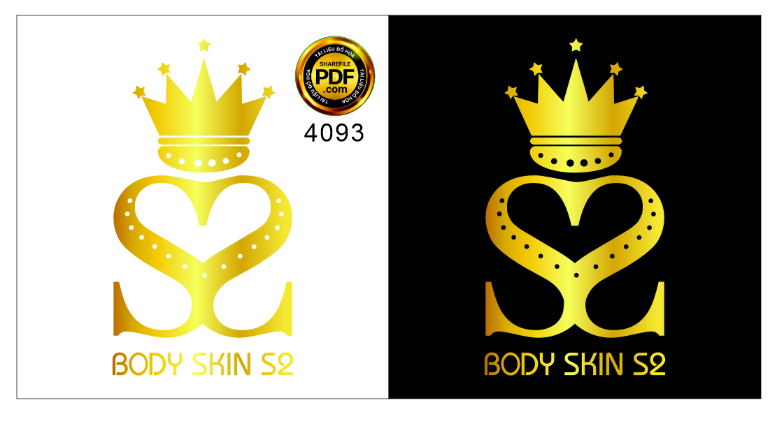 logo body skin s2.png