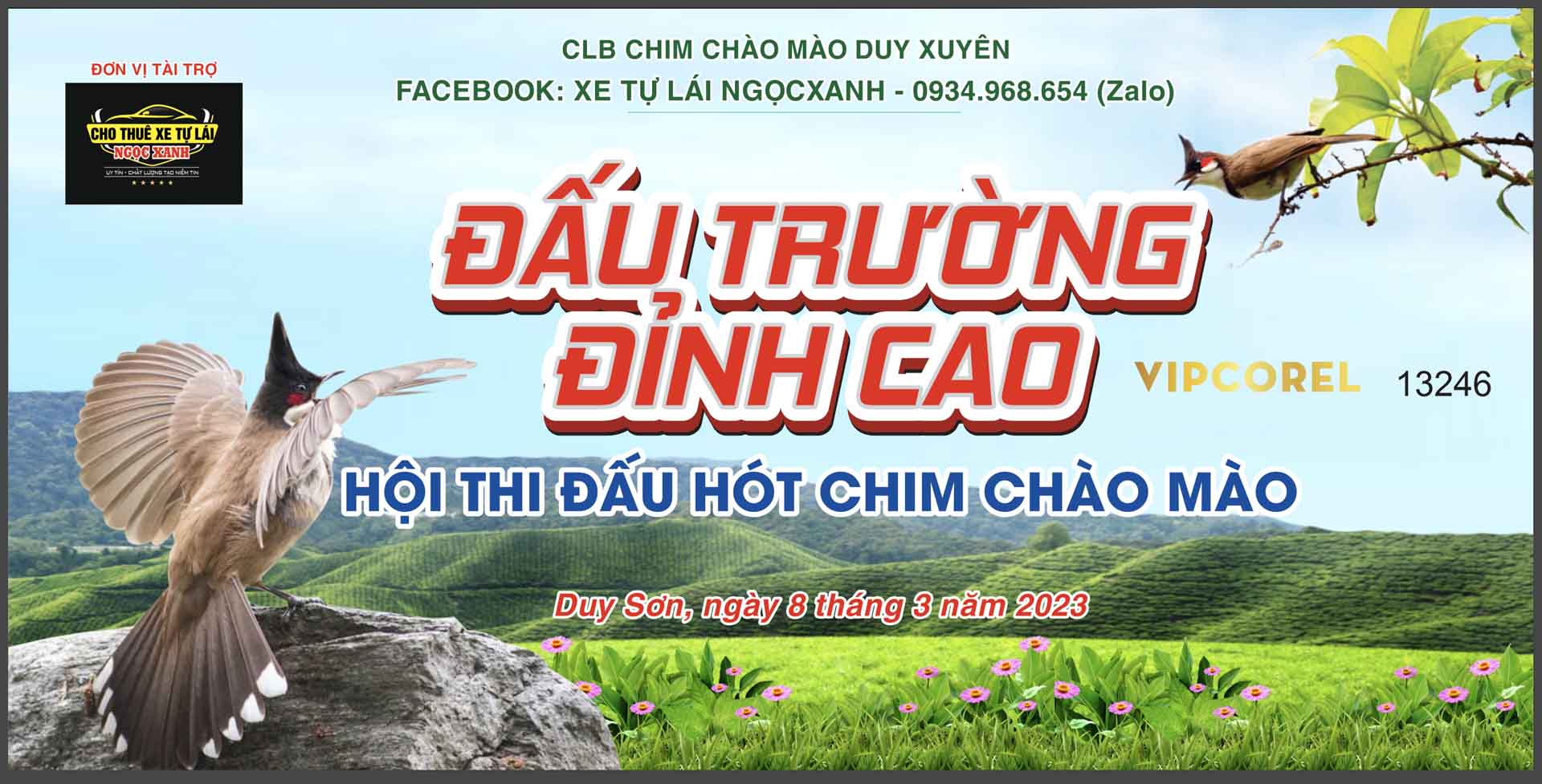market hoi thi dau hot chim chao mao.jpg