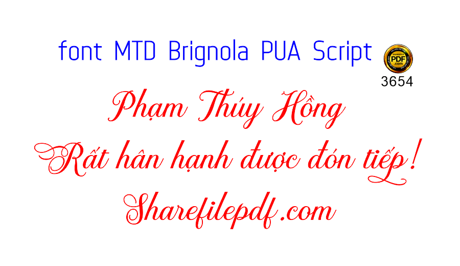 MTD Brignola PUA Script.png