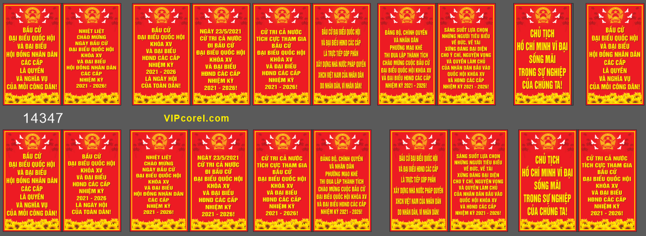 pano bau cu dai bieu quoc hoi #7.png