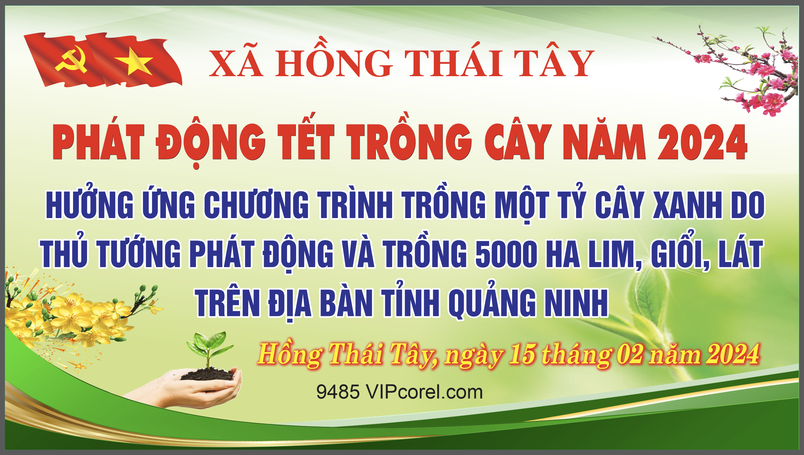 phat dong tet trong cay 2024 #4.png