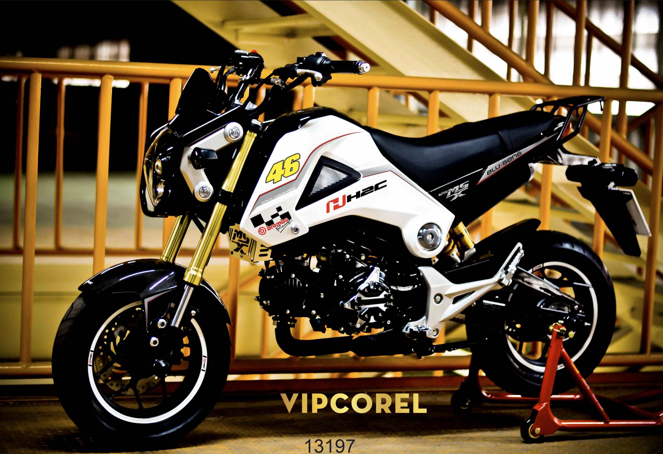 tem decal  xe honda msx 125.png