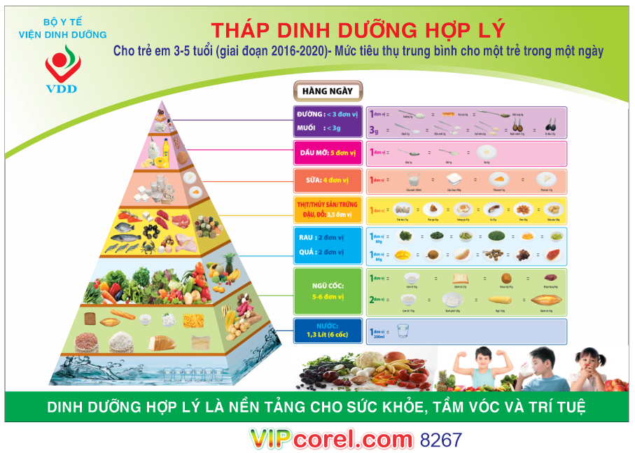 thap dinh duong hop ly.png