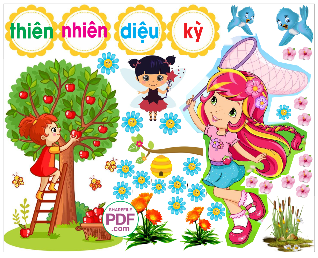 Trang trí phòng học - Thiên nhiên diệu kỳ
