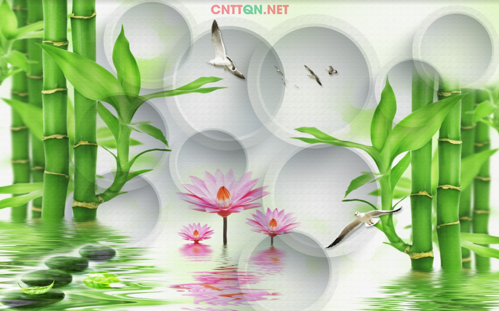 Tranh tường Spa đẹp ảnh chất lượng cao JPG