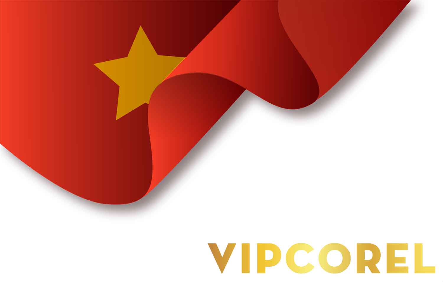 VIPcorel.com quoc ky Viet Nam (11).jpg