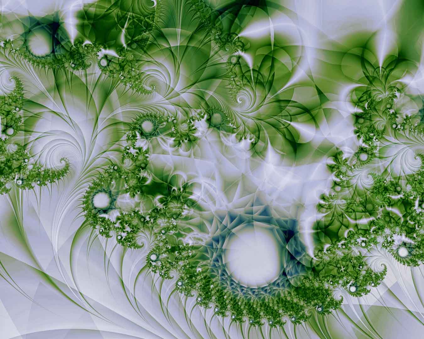 VIPcorel.com11018.jpg