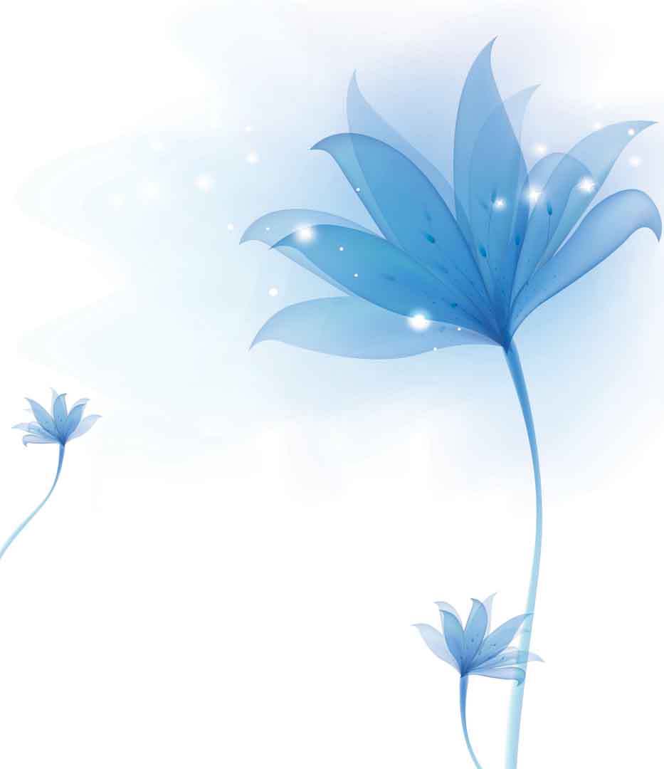 VIPcorel.com_10890.jpg