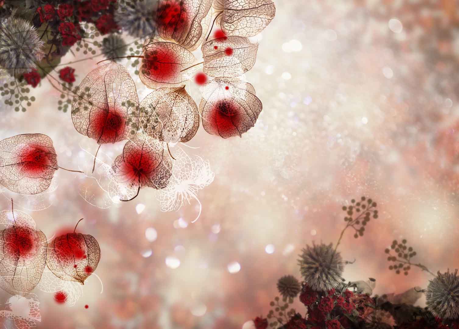 VIPcorel.com_10923.jpg