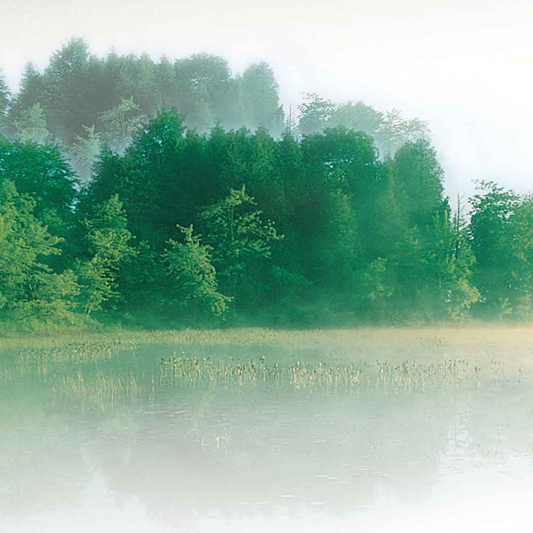 VIPcorel.com_11627b.jpg