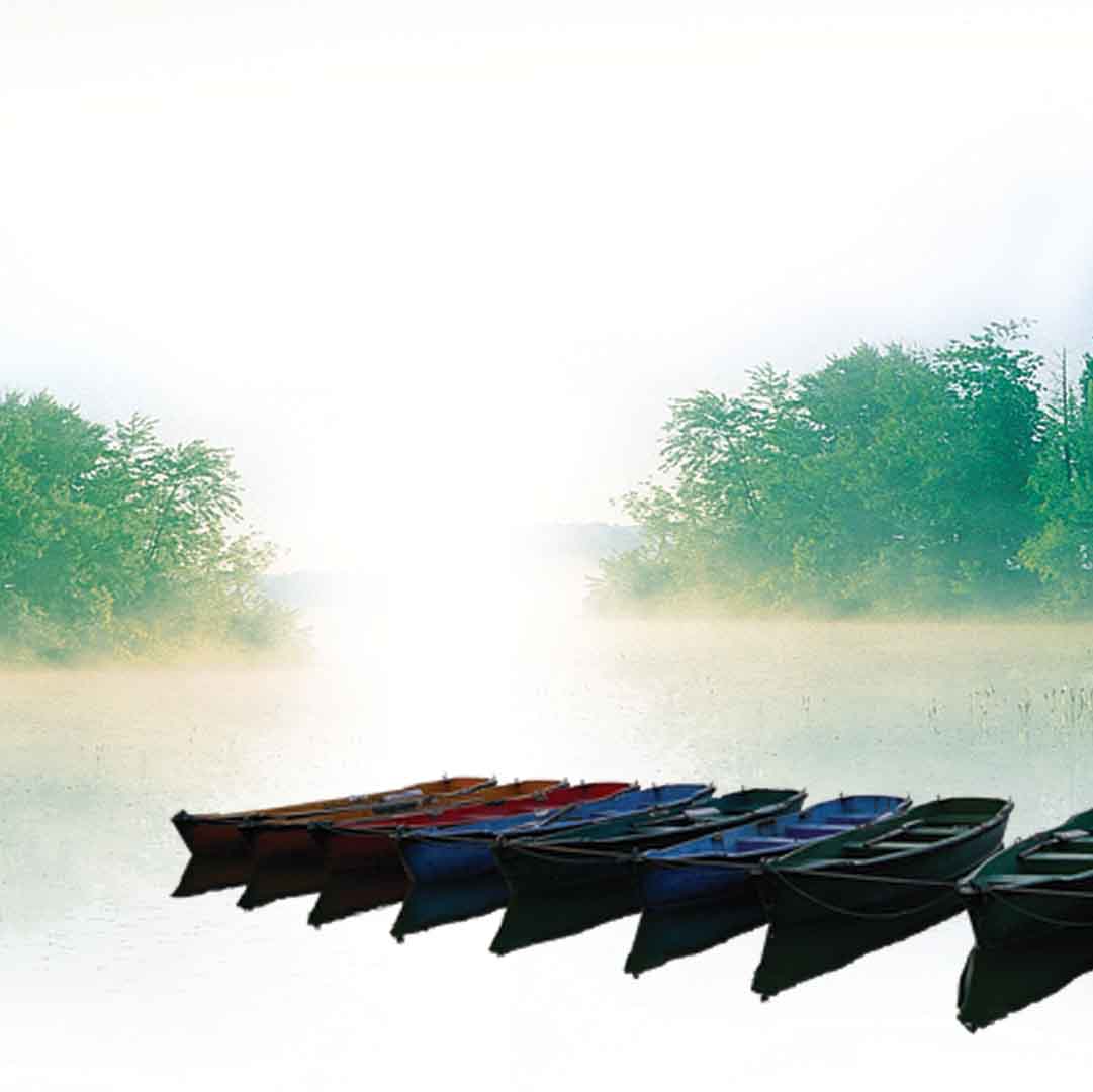 VIPcorel.com_11627c.jpg