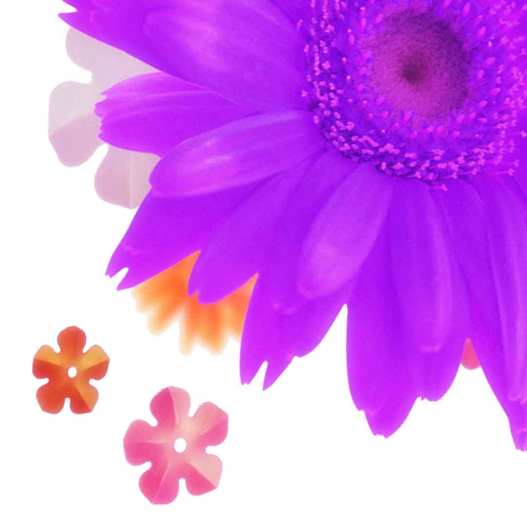 VIPcorel.com_11633d.jpg