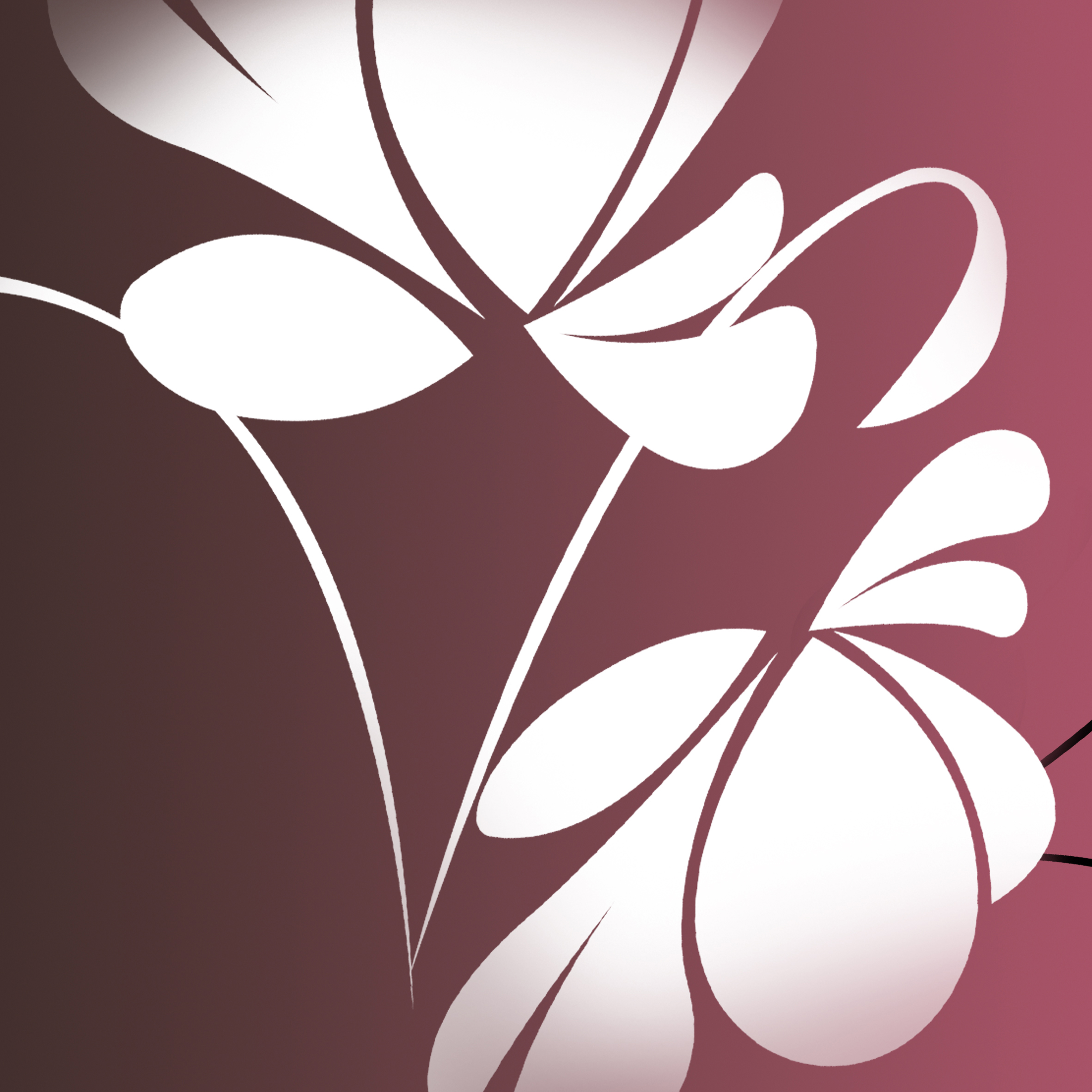 VIPcorel.com_11642b.jpg