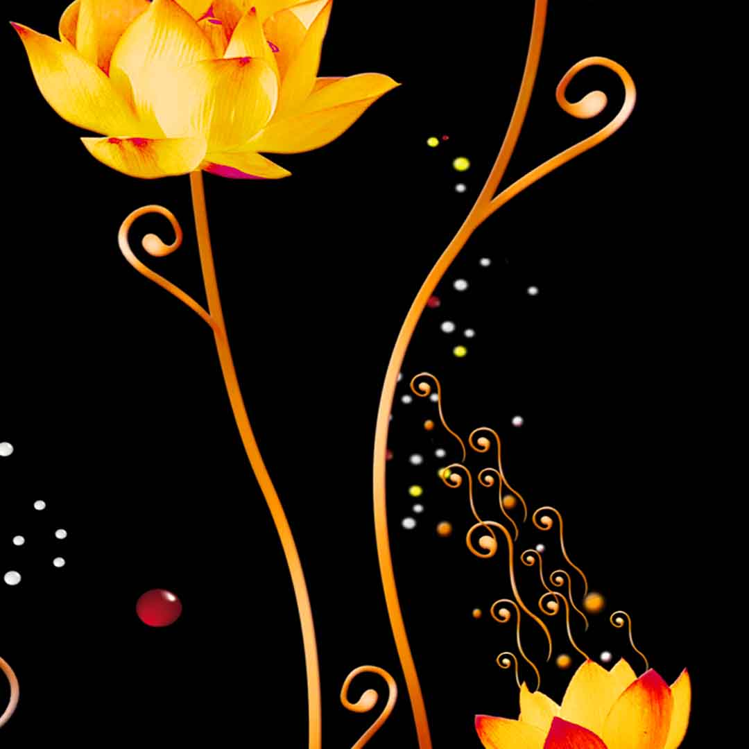 VIPcorel.com_11651c.jpg