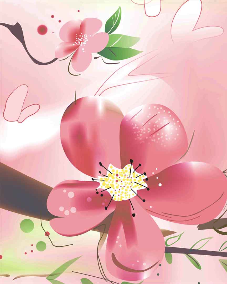 VIPcorel.com_11676b.jpg