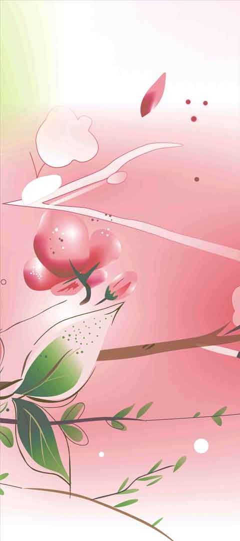 VIPcorel.com_11676c.jpg