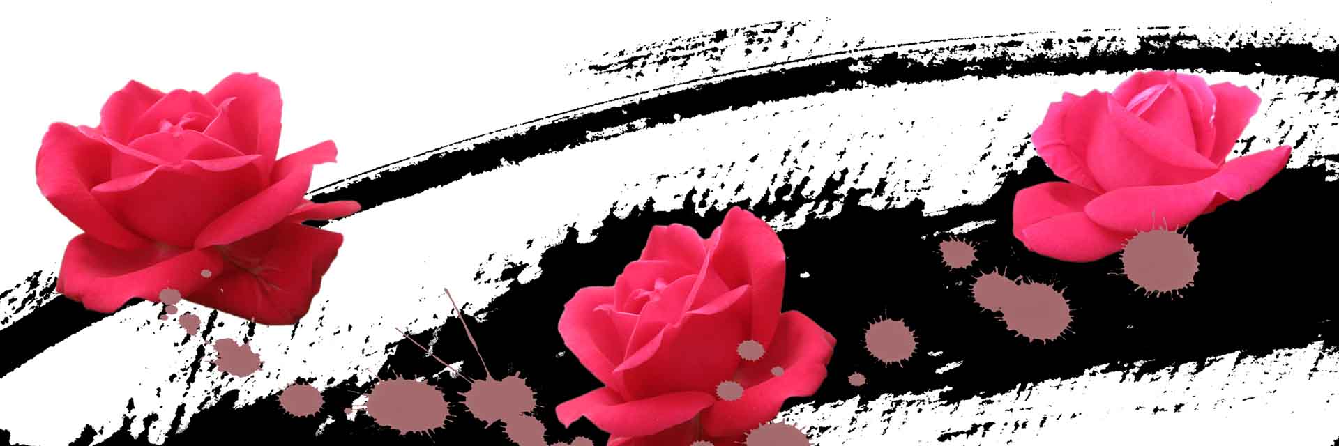 VIPcorel.com_11684a.jpg