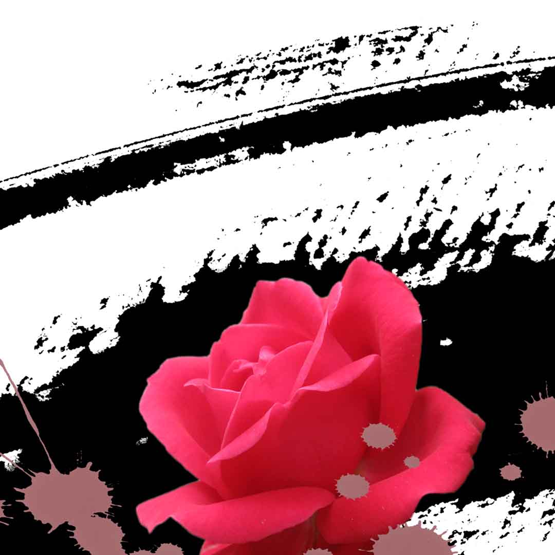 VIPcorel.com_11684c.jpg