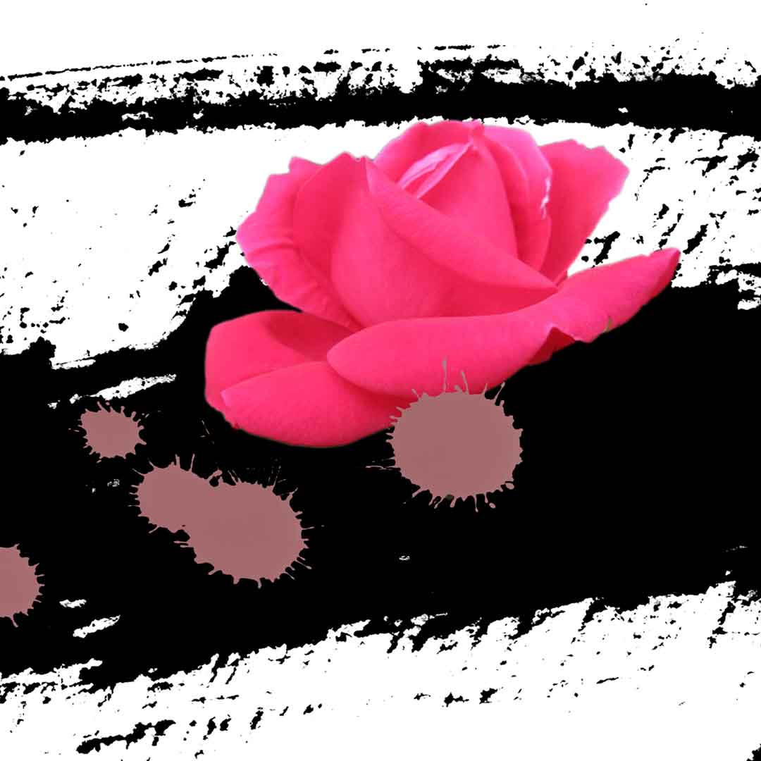 VIPcorel.com_11684d.jpg