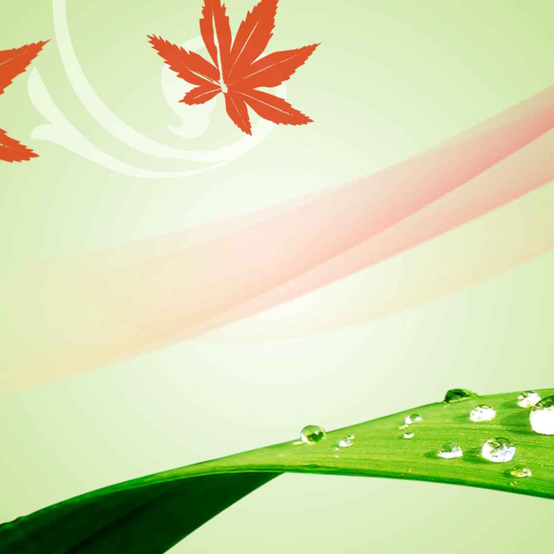 VIPcorel.com_11711a.jpg