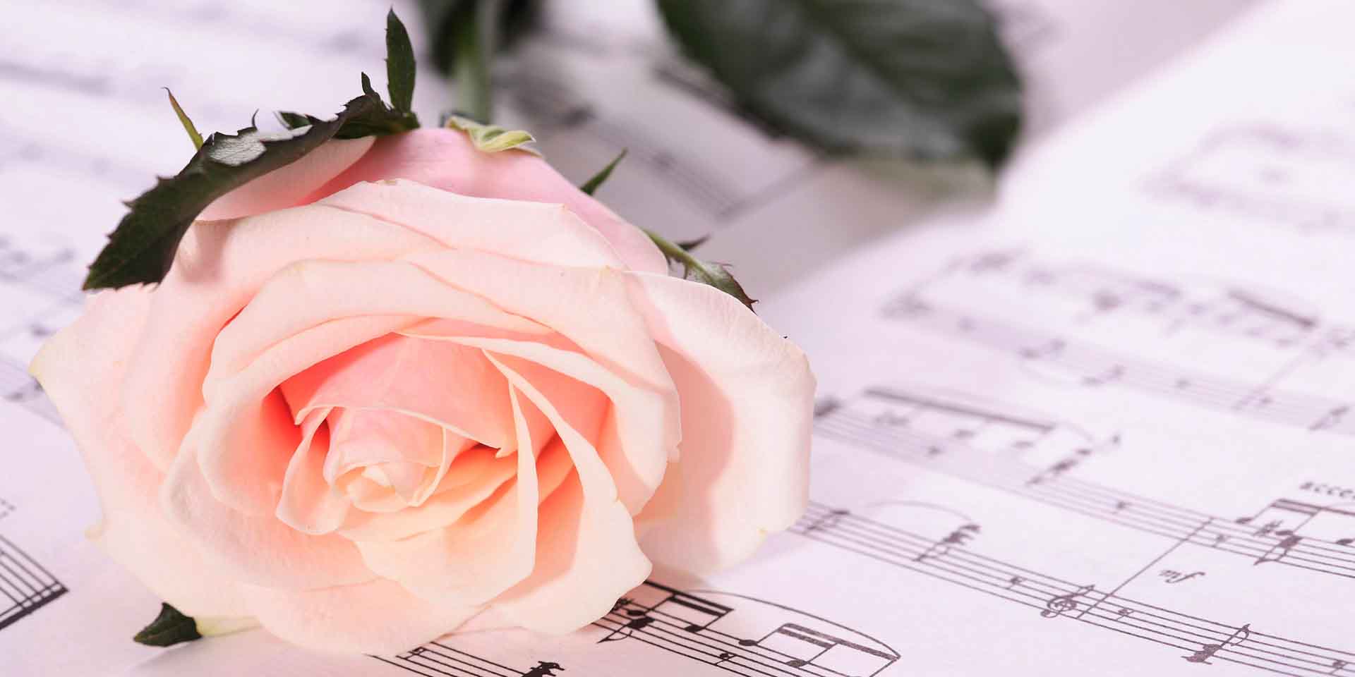 VIPcorel.com_11728a.jpg