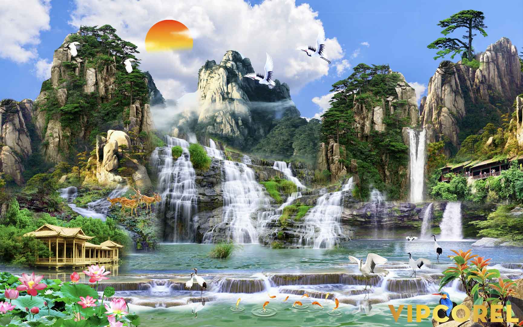 VIPcorel.com_12181.jpg