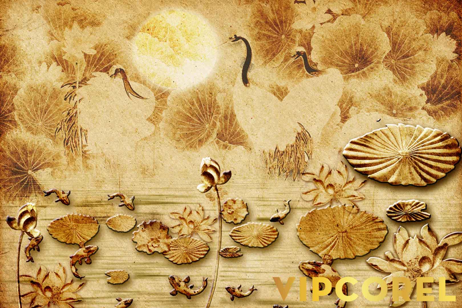 VIPcorel.com_12522.jpg