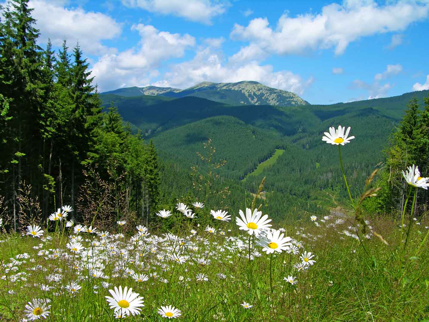 VIPcorel.com_12752.jpg