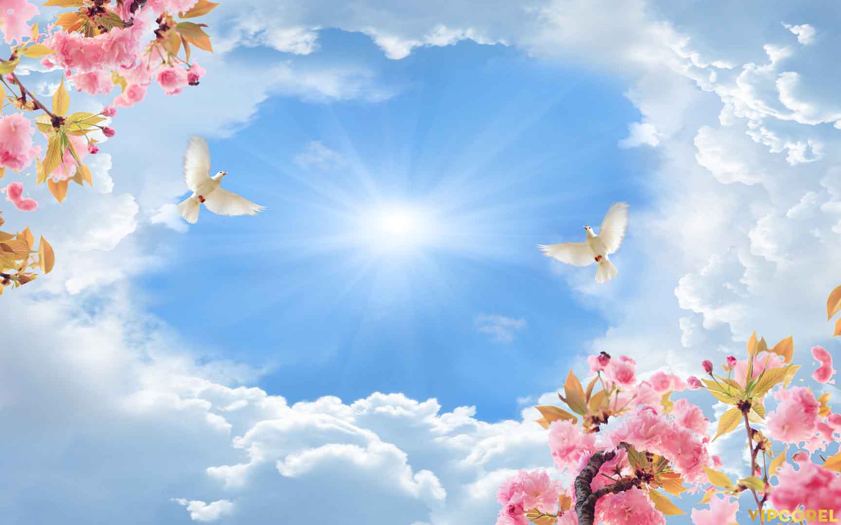 VIPcorel.com_13138.jpg